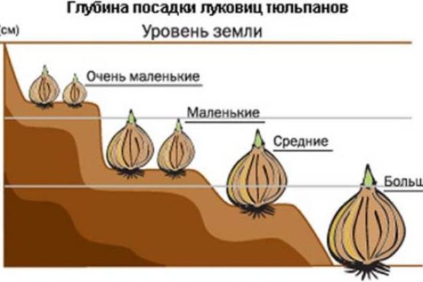 Ссылка кракен kr2web in