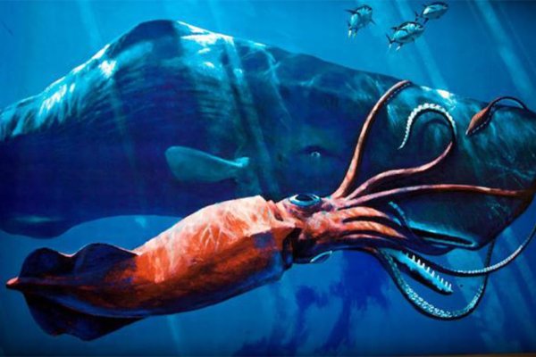Ссылка на кракен тор kraken014 com